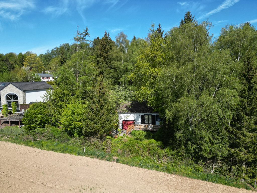Le Concy - 25 - - 6987