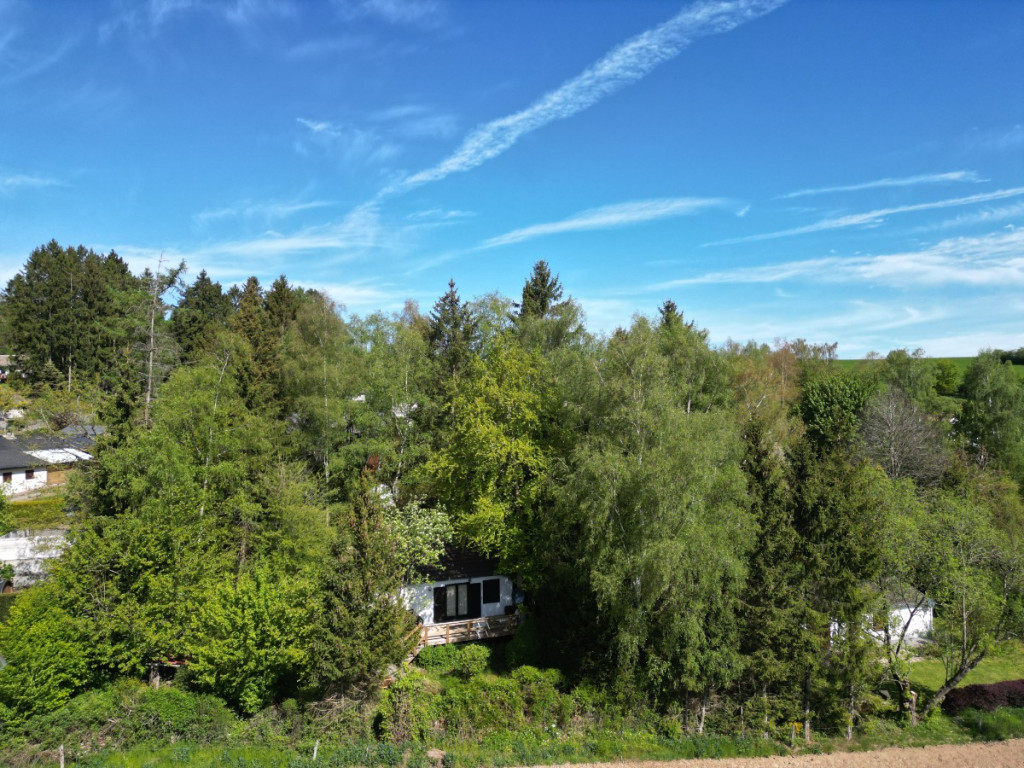 Le Concy - 25 - - 6987