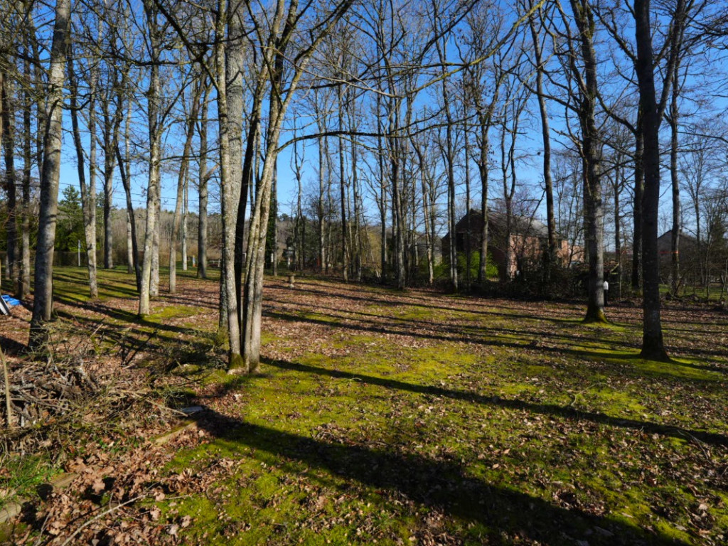 Route de Durbuy - 0 - - 6940