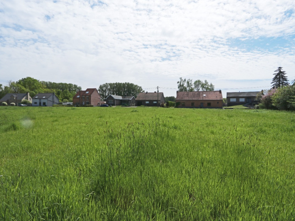 Zoot ( weide) - 23A - tegenover - 3202