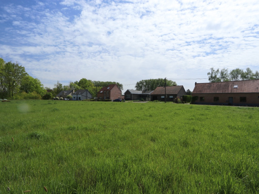 Zoot ( weide) - 23A - tegenover - 3202