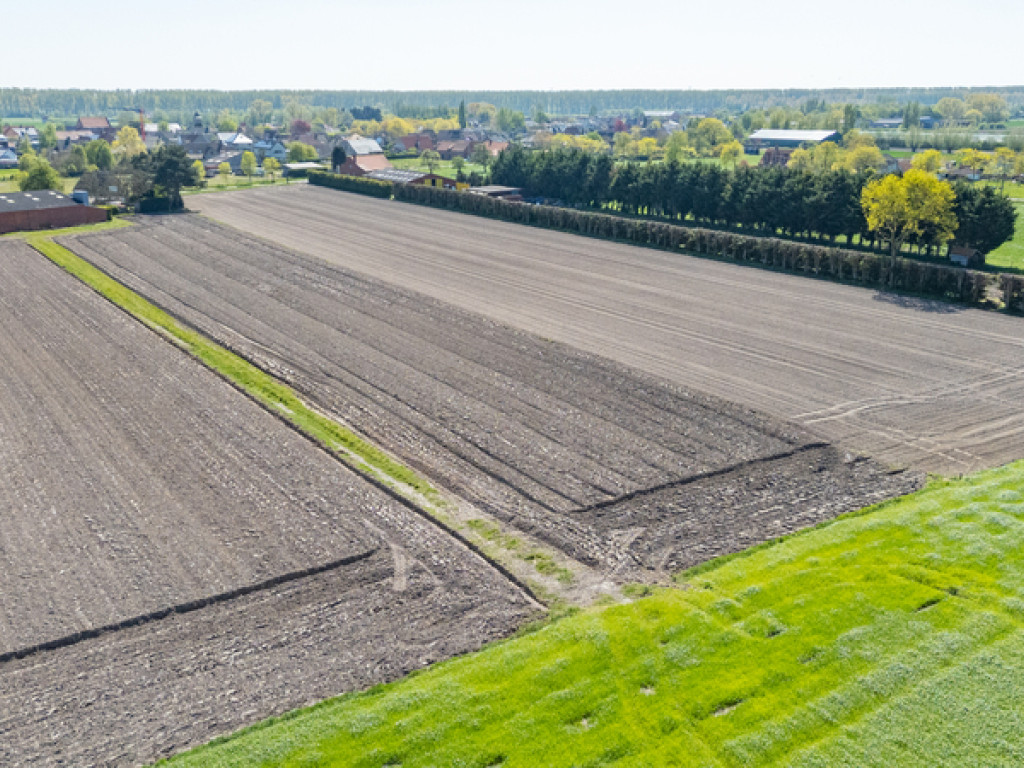 Damweg - 35+ - - 8340