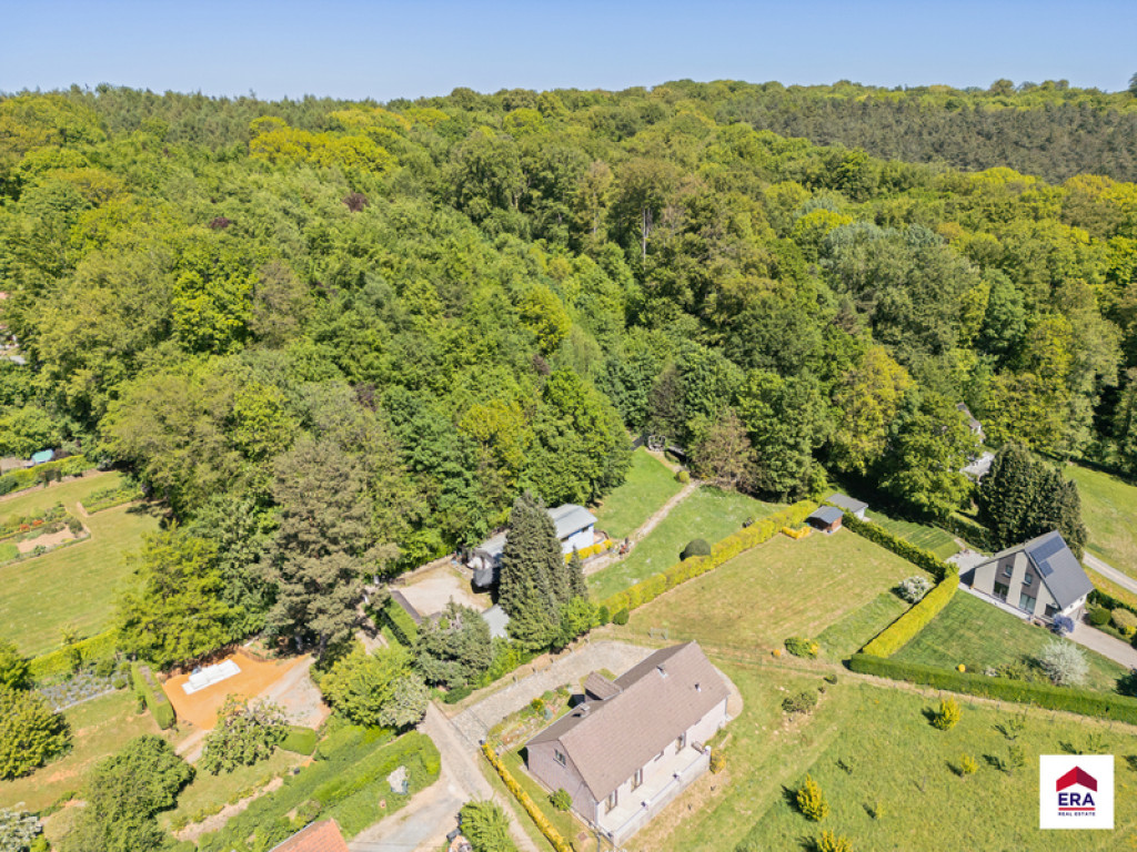 Wortelenberg - 48 - - 1653
