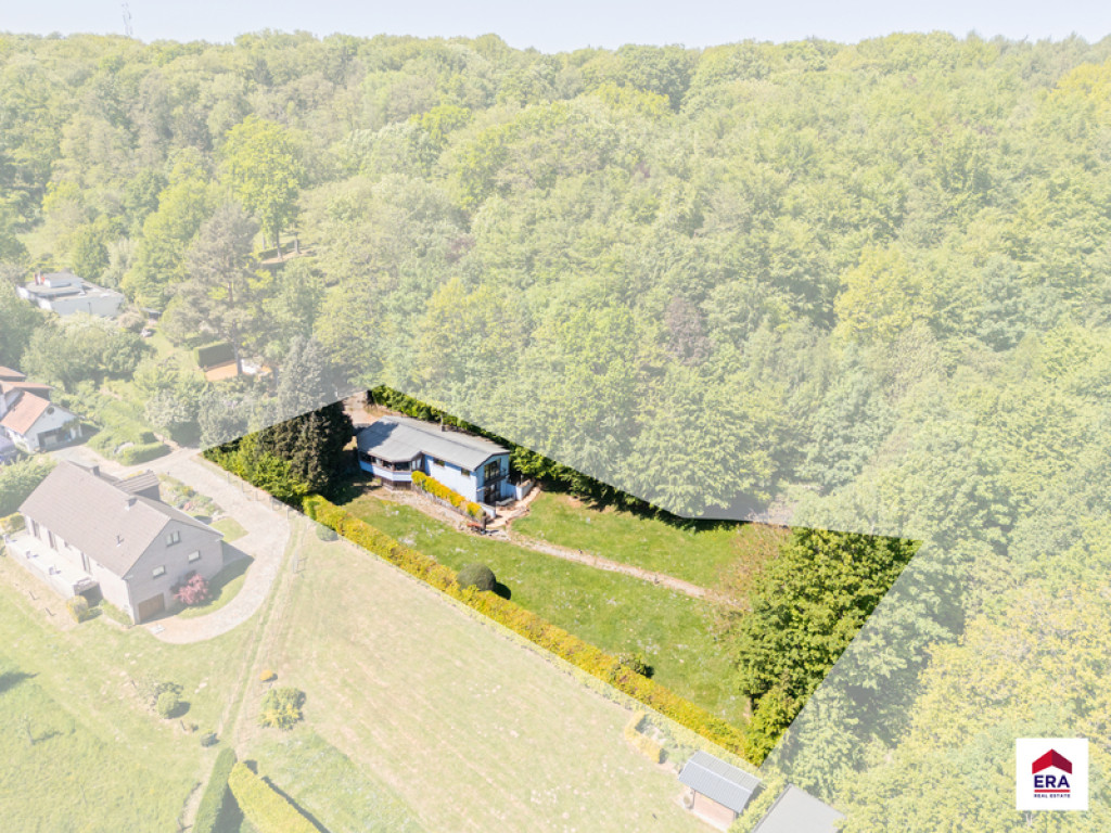 Wortelenberg - 48 - - 1653