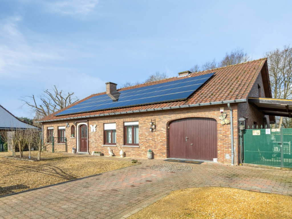 Bieweg - 5 - - 3582