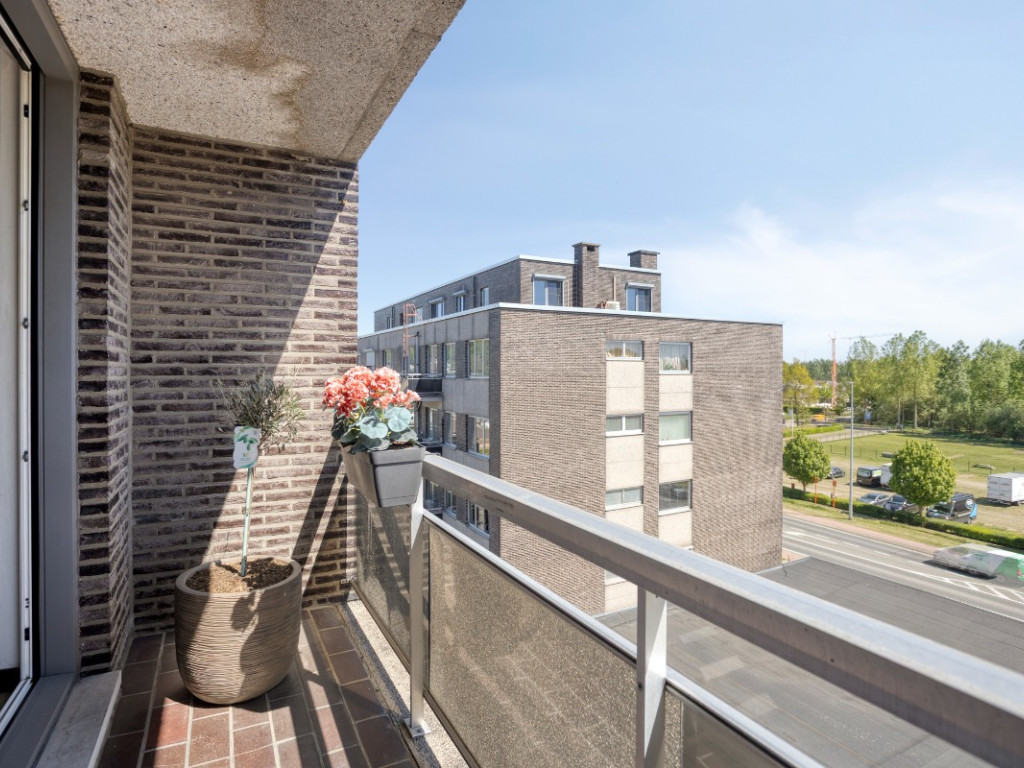 Ringlaan - 28D - - 3560