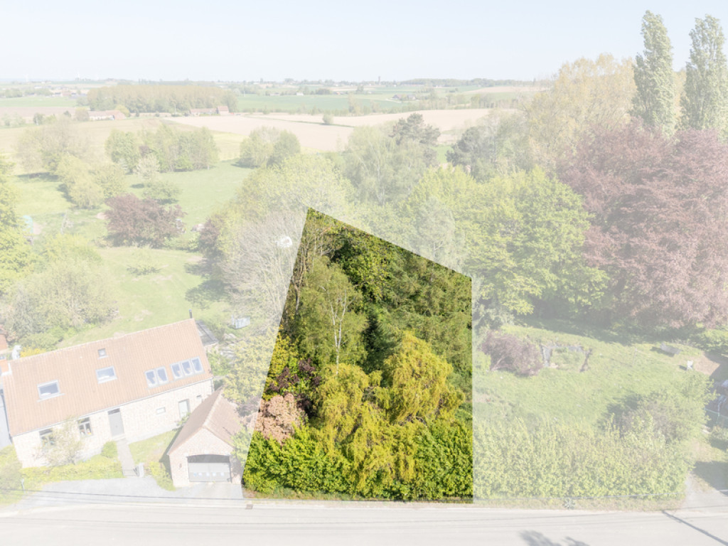rue des Panottes - 58 - - 7830