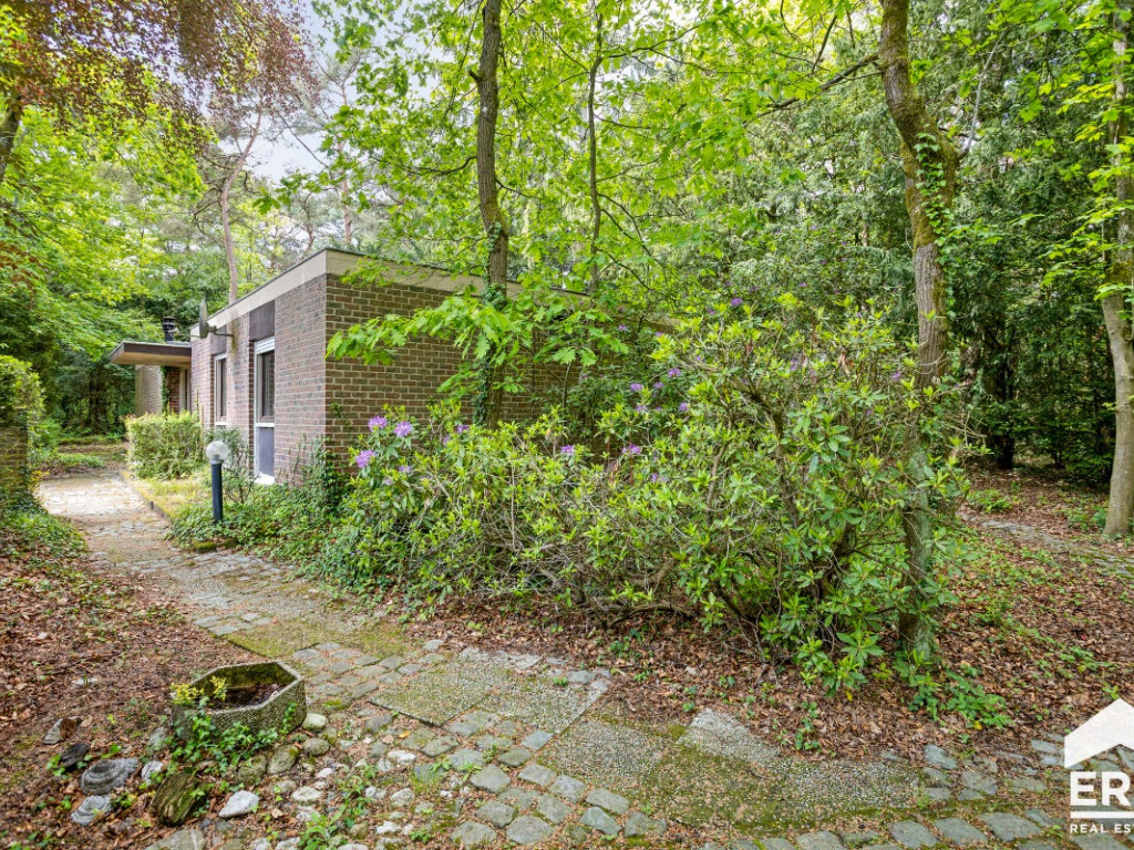 Egstraat - 19 - - 3920