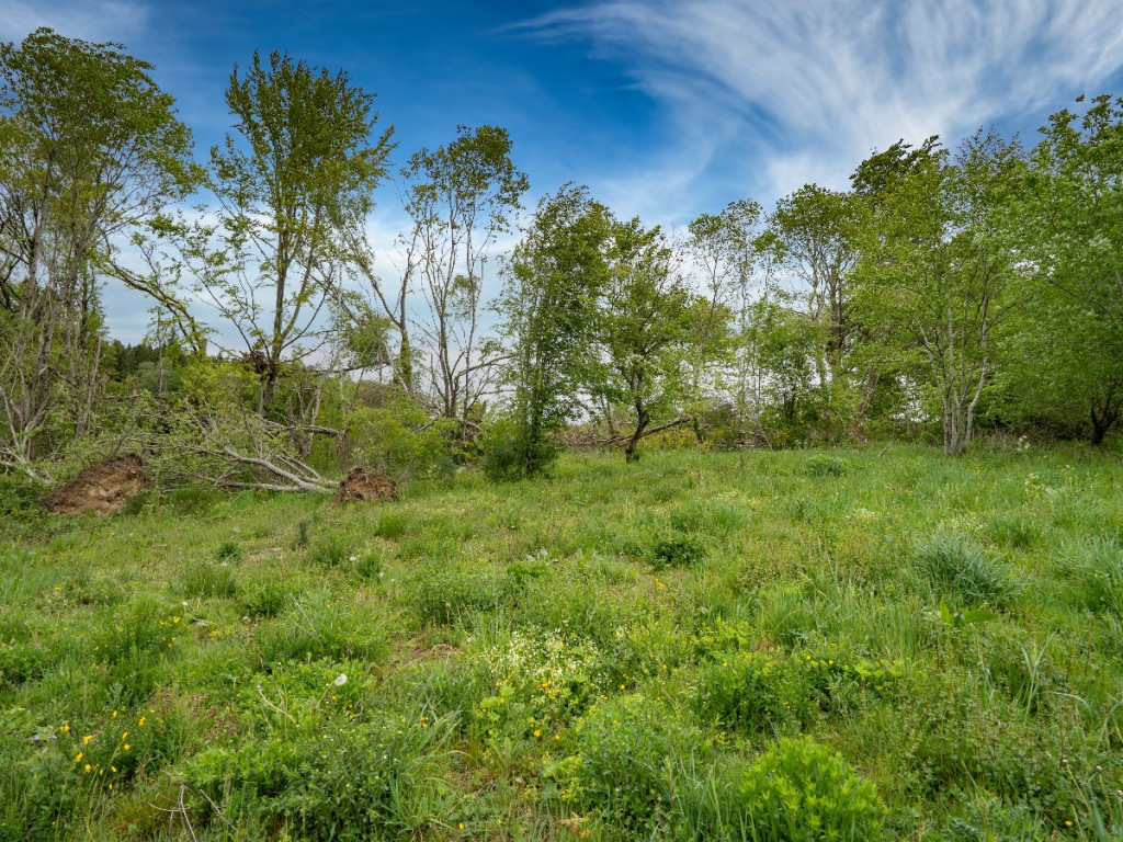 MONTLEBAN - Lot 14 - - 6670