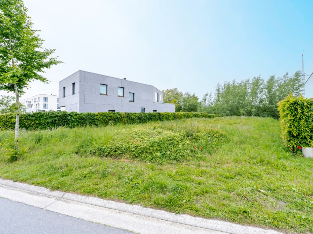Helmkruidstraat - 53 / A - - 9032