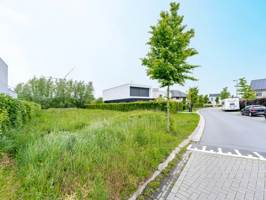Helmkruidstraat - 53 / A - - 9032