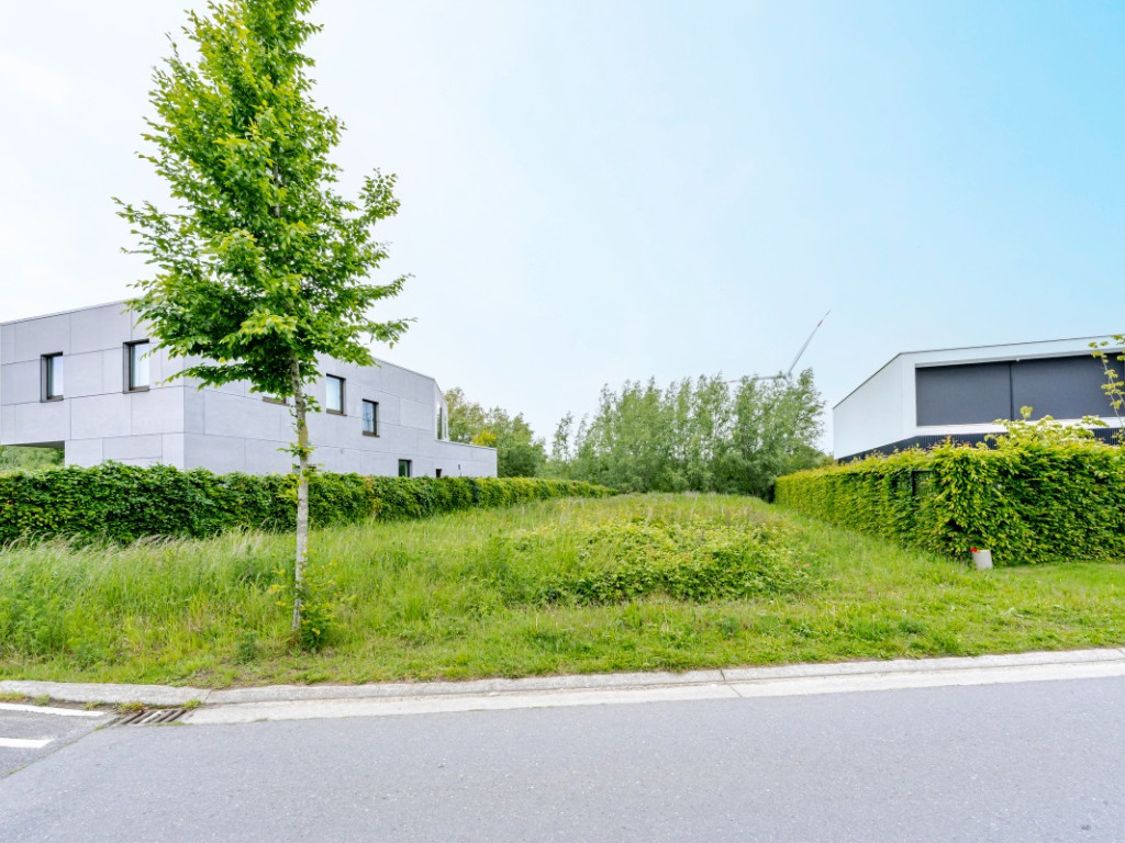 Helmkruidstraat - 53 / A - - 9032