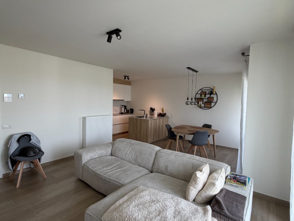 Wingenesteenweg - 29B - 02.03 - 8750