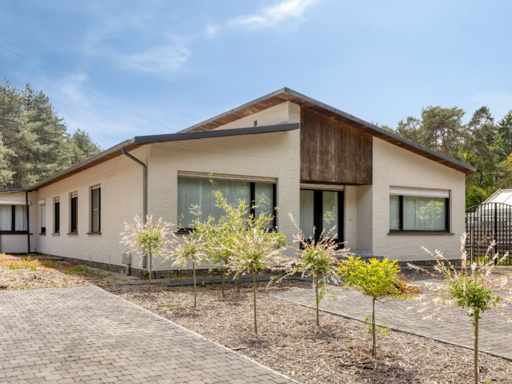Sassenhout - 8 - - 2290