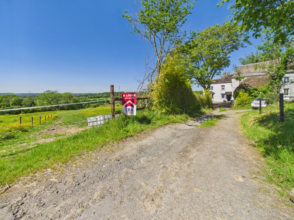 Rue Sur les Tailles - 55 - - 4181