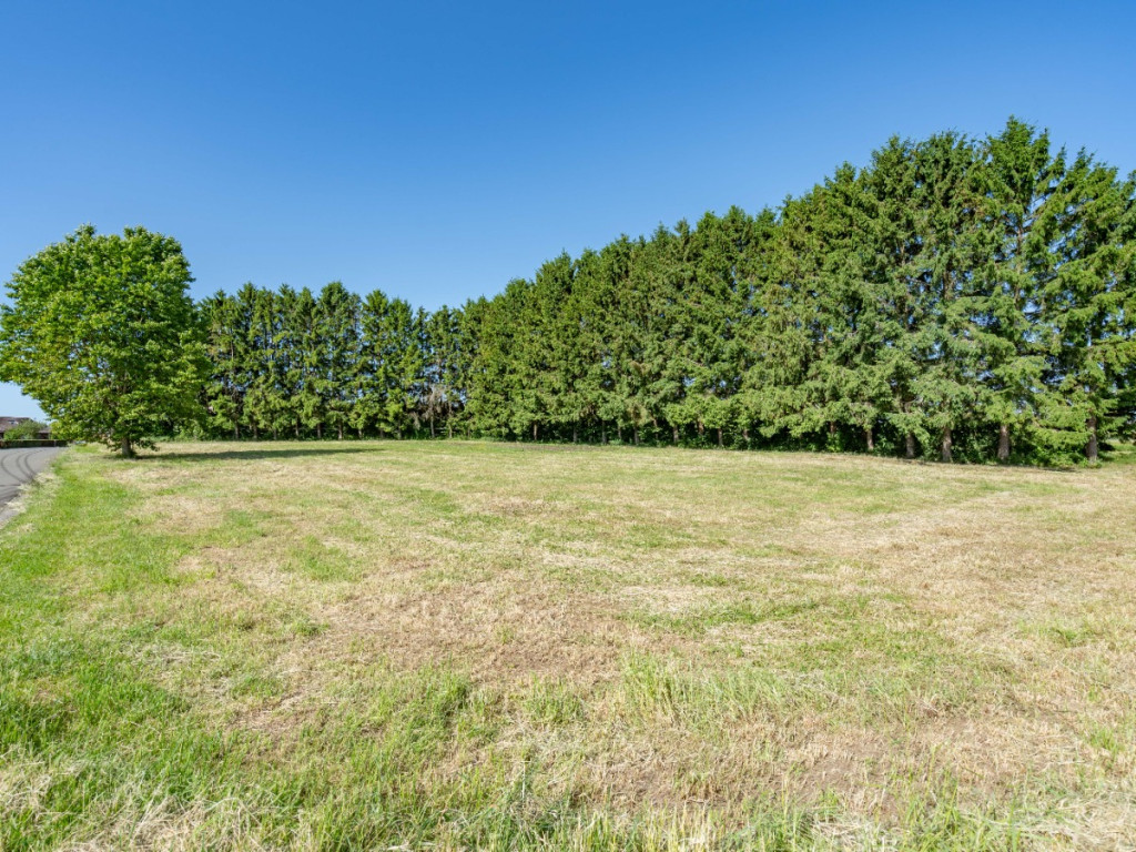 Rue de Bidet - 728/B - - 5590