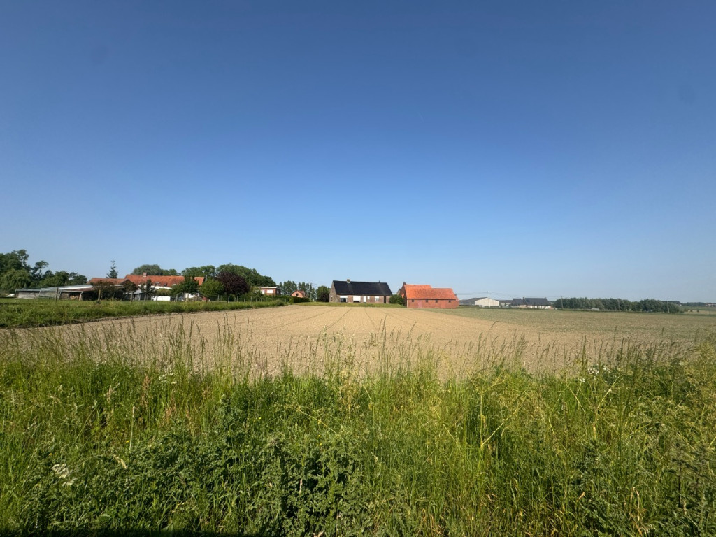 Wallemolenstraat - 20A - - 8920
