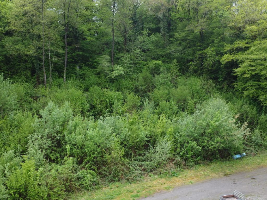 Route d'Inzemont - B44L - - 5540