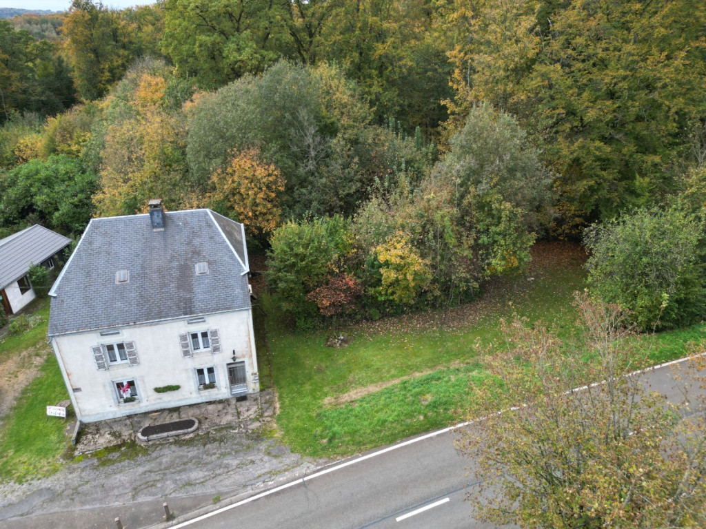 Rue de la Forêt - 76 - - 6821