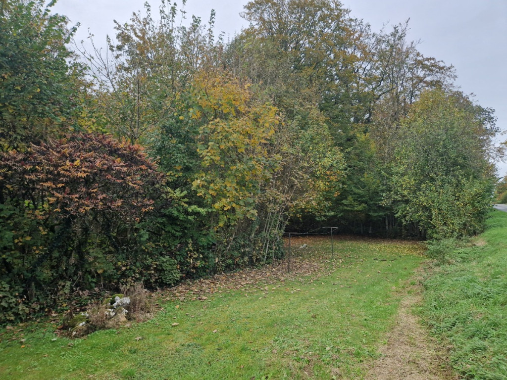 Rue de la Forêt - 76 - - 6821