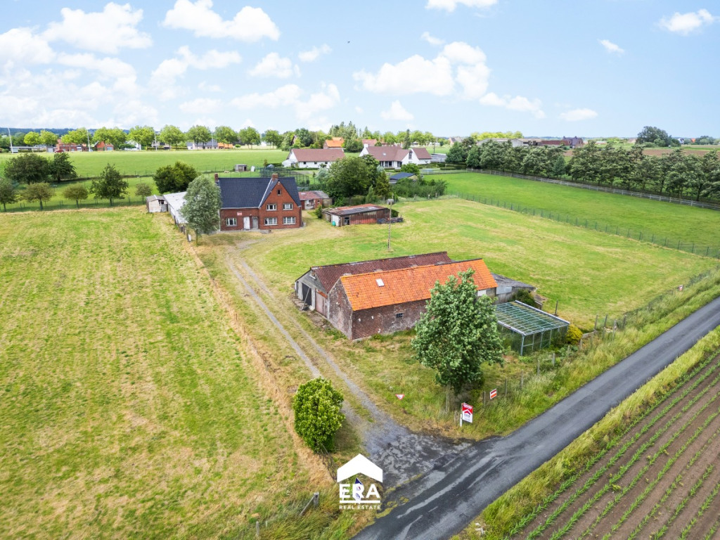 Cauwenteynestraat - 11 - - 8750