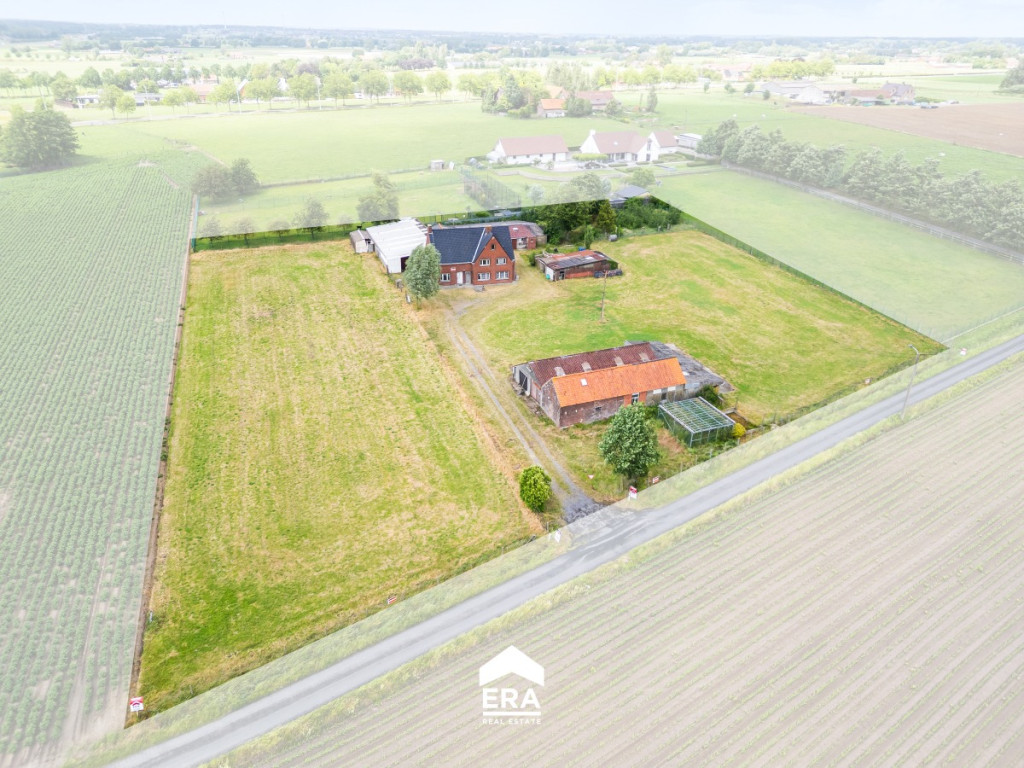 Cauwenteynestraat - 11 - - 8750