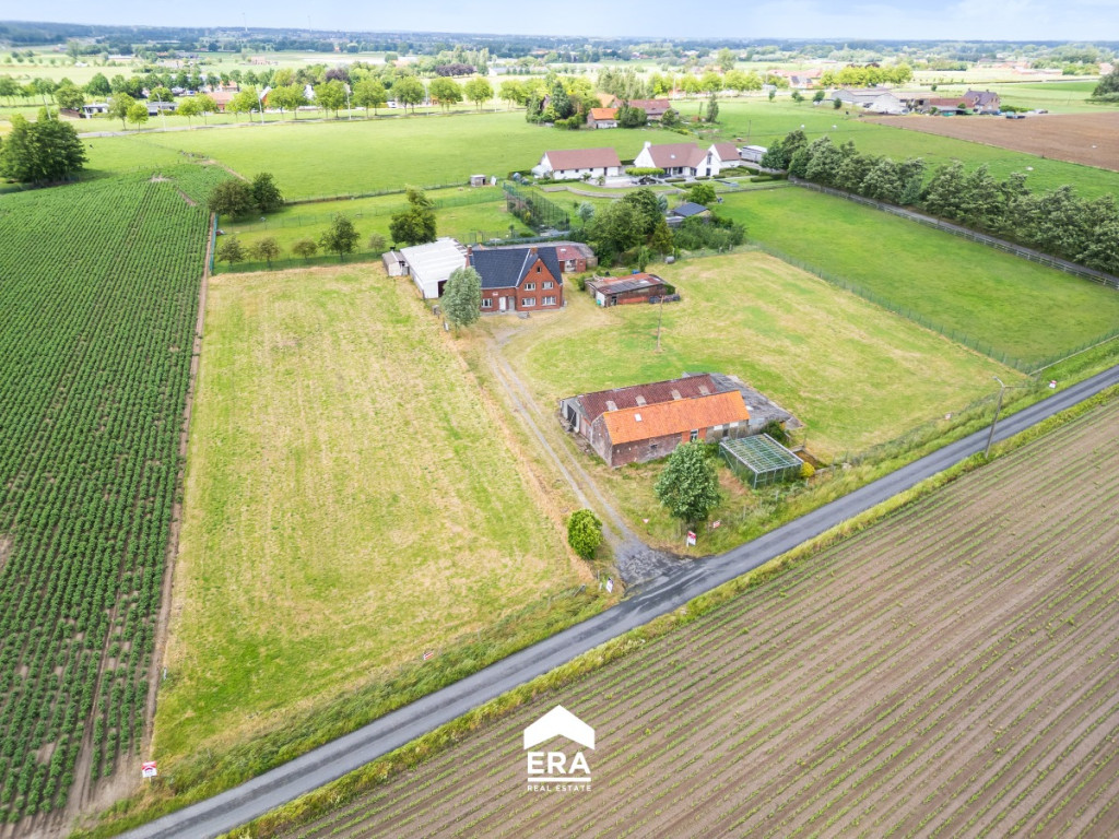 Cauwenteynestraat - 11 - - 8750