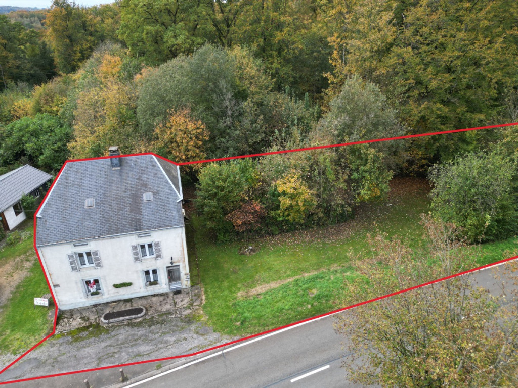 Rue de la Forêt - 76 - - 6821