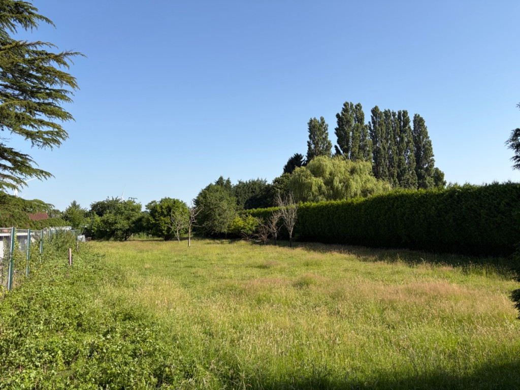 Rue des Ecoles - T - - 4530