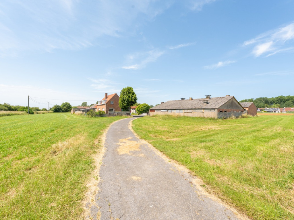 Langgeleedstraat - 2 - - 8660