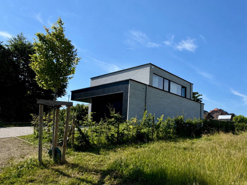 Steenovenstraat - 8 - - 1560
