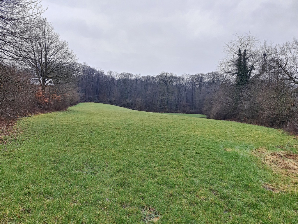 Rue du Puits - B9 - 00A - 4500