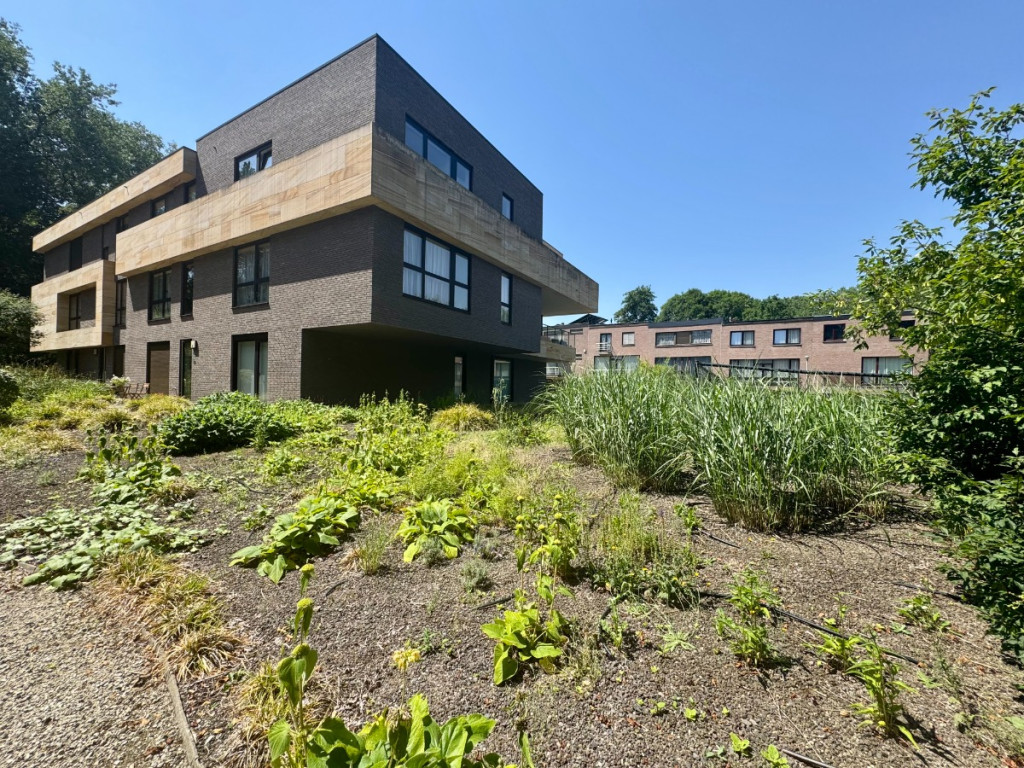 Zagerijstr - 12 - 02 - 3090