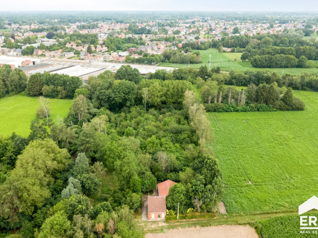 Antwerpsedries - 28 - - 2440