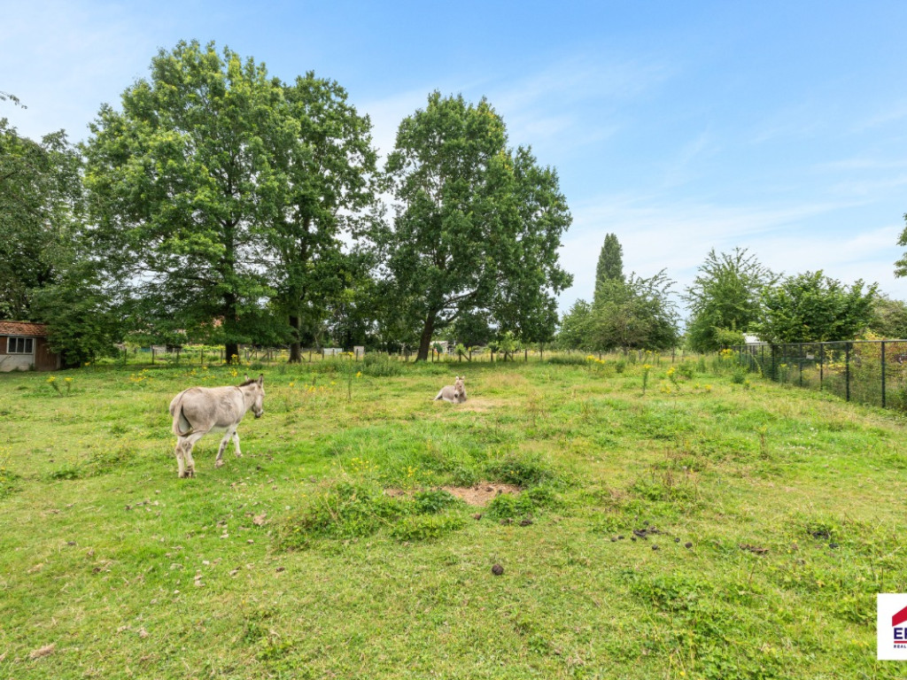 Langestraat - 33 - - 1741