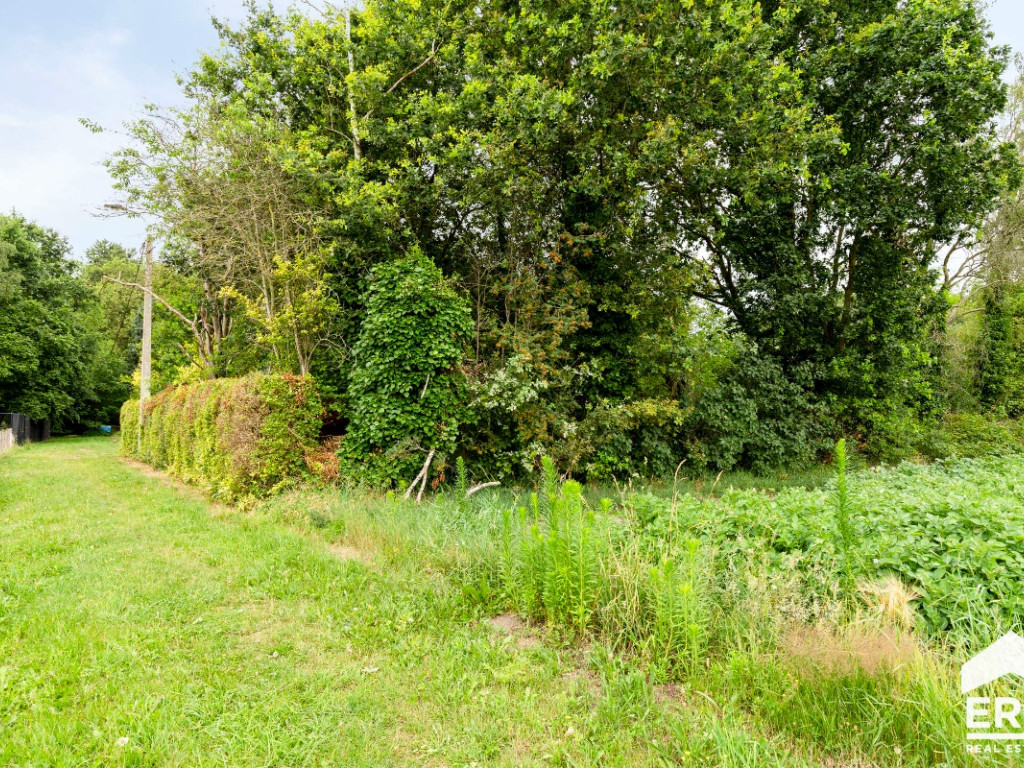 Antwerpsedries - 28 - - 2440
