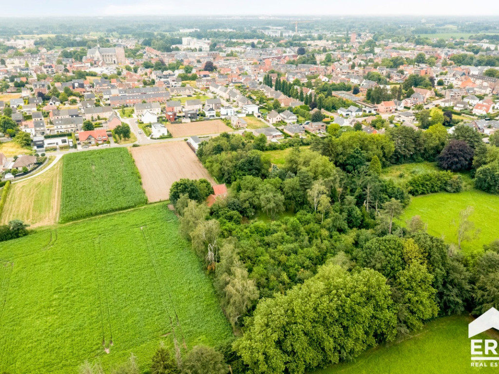 Antwerpsedries - 28 - - 2440