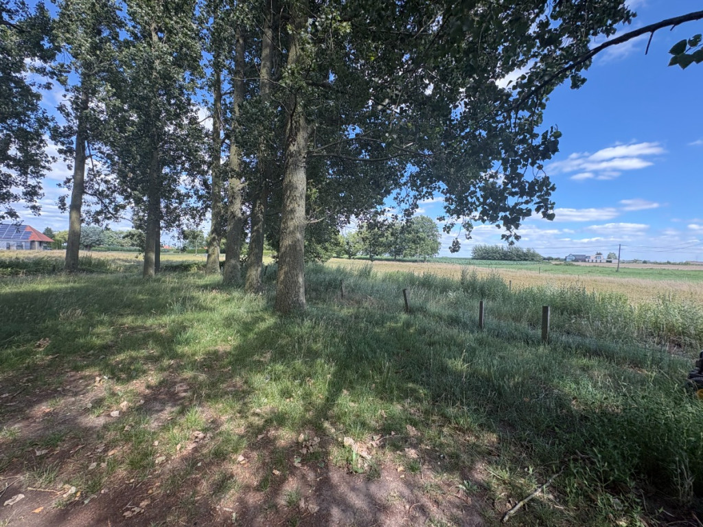 Lolliestraat - 12 - - 8890