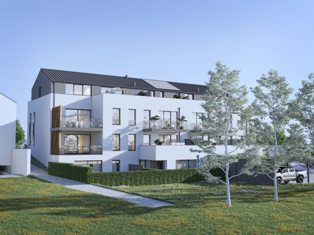 Rue du Bois d'Hazy - 1 - -1.2 - 1 - 6600