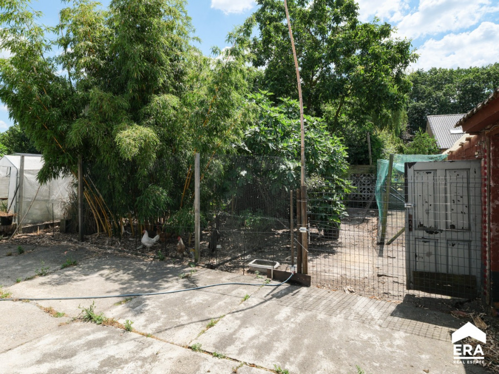 Musstraat - 17 - - 3530