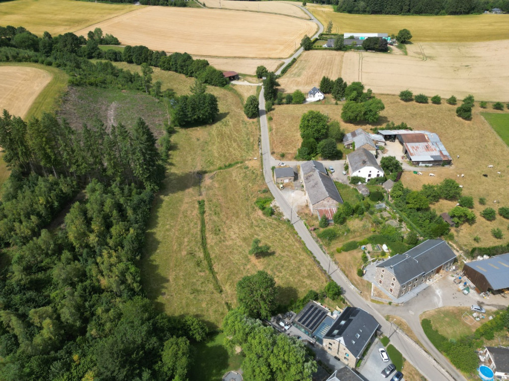 Buisson - LOT 3 - division - 6980