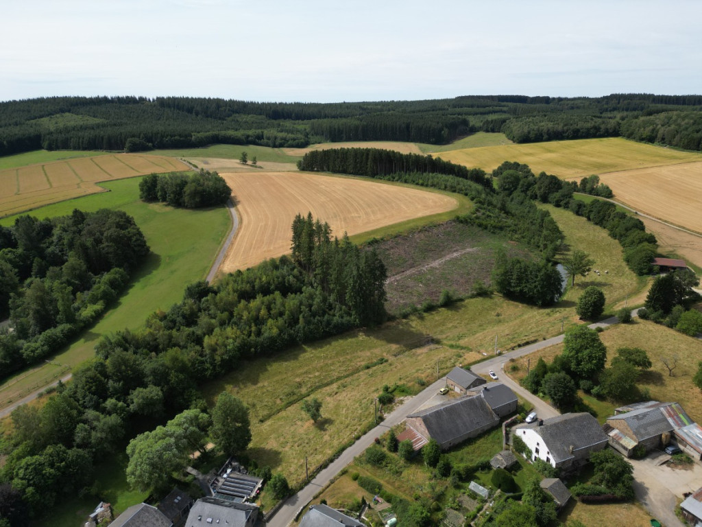 buisson - LOT 2 - division - 6980