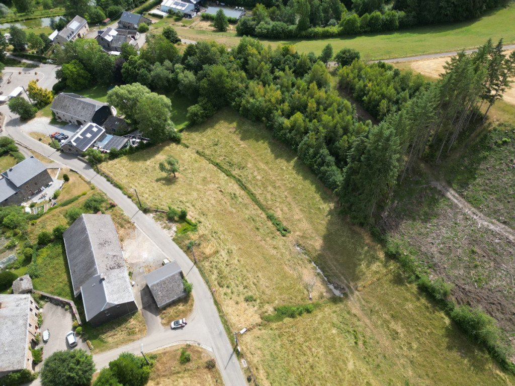 Buisson - LOT 3 - division - 6980