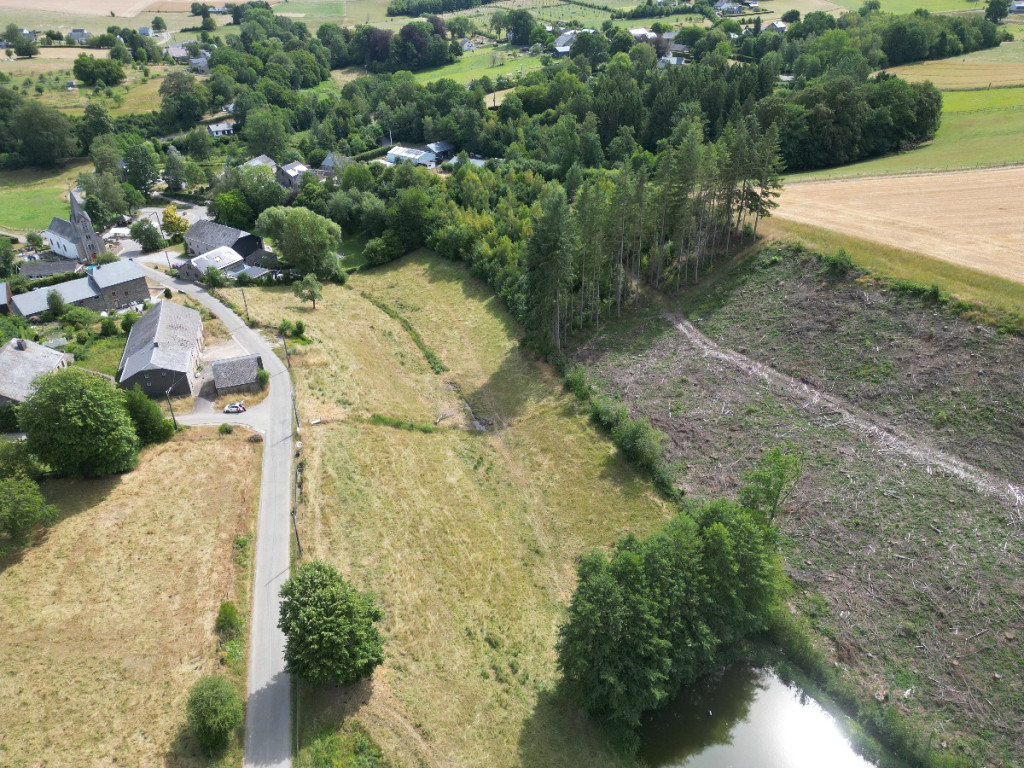 buisson - LOT 2 - division - 6980