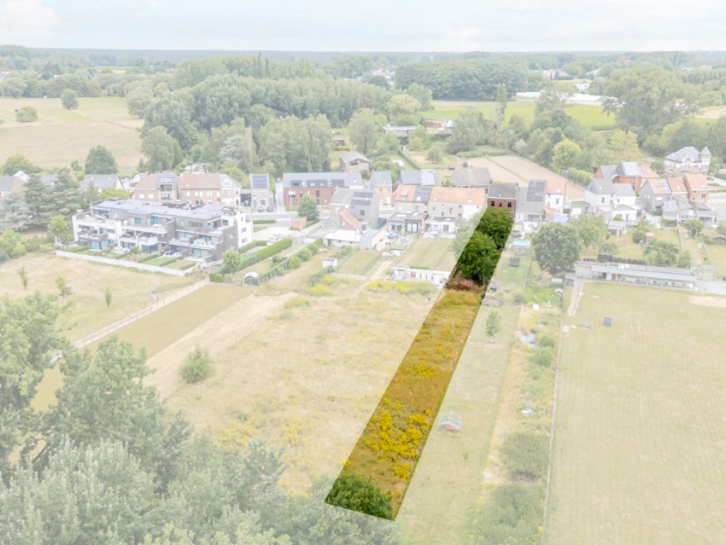 Pachting - 69 - - 9310