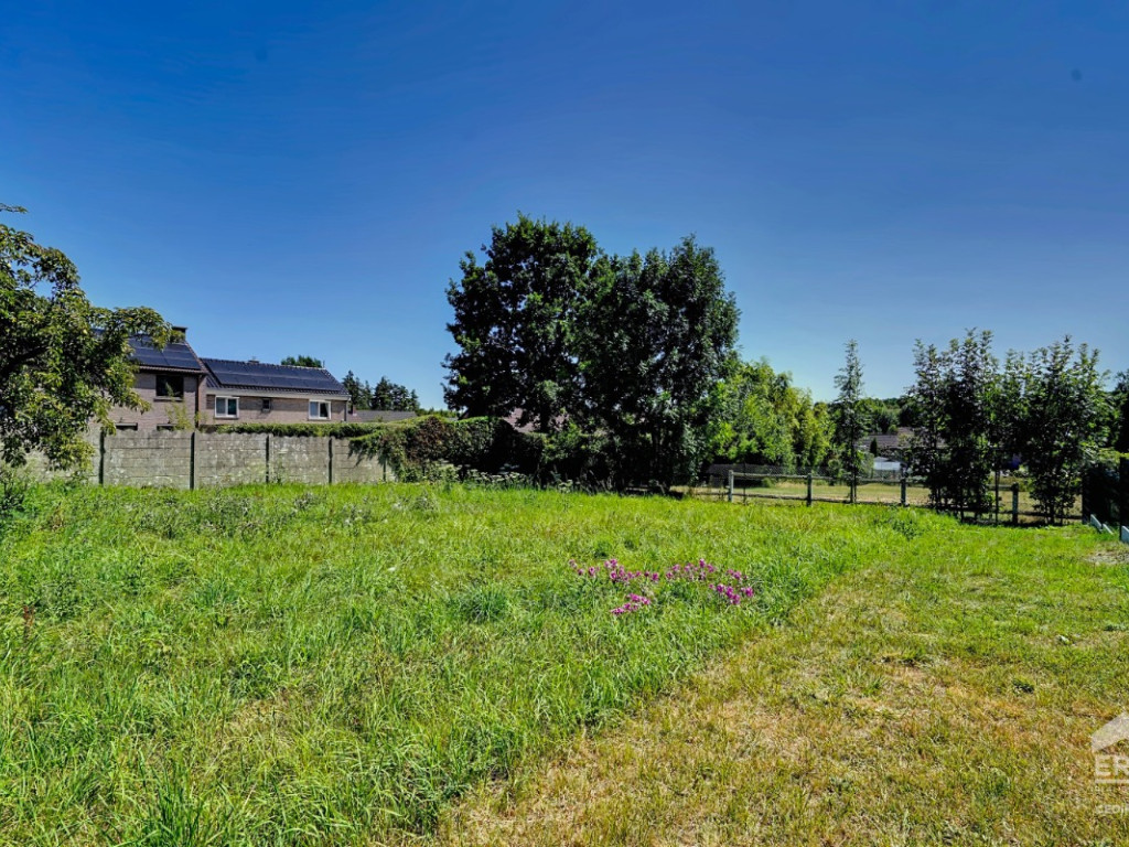 Rue Longchamp - 66 - - 1420