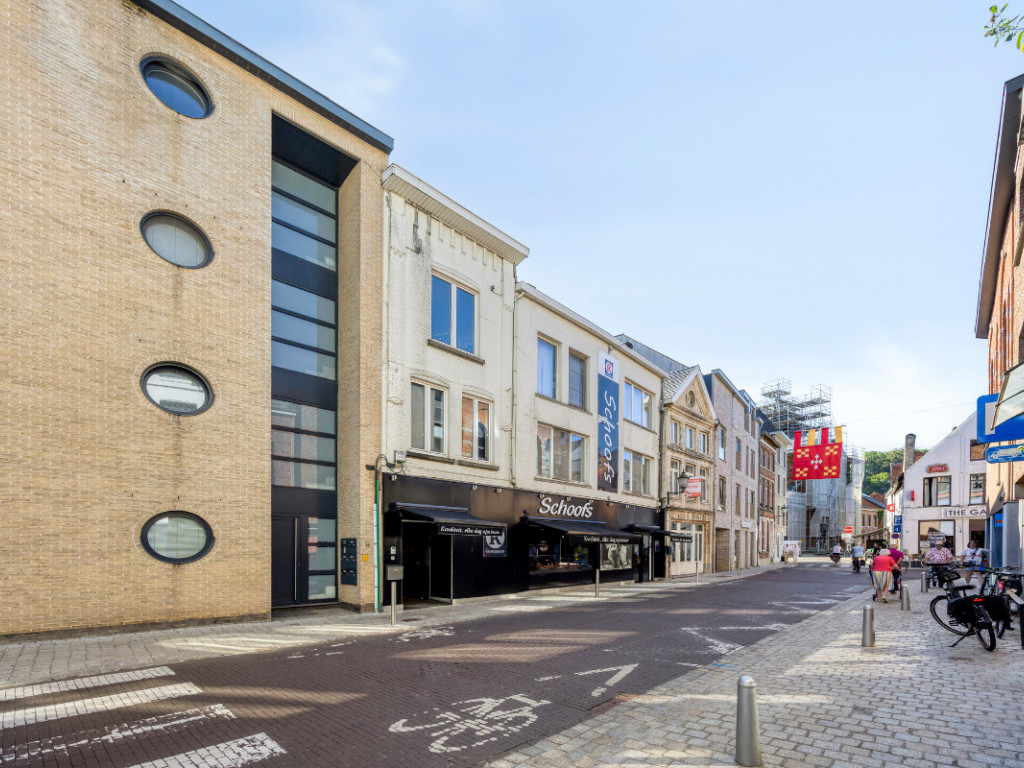 Schaffensestraat - 9-11 - - 3290