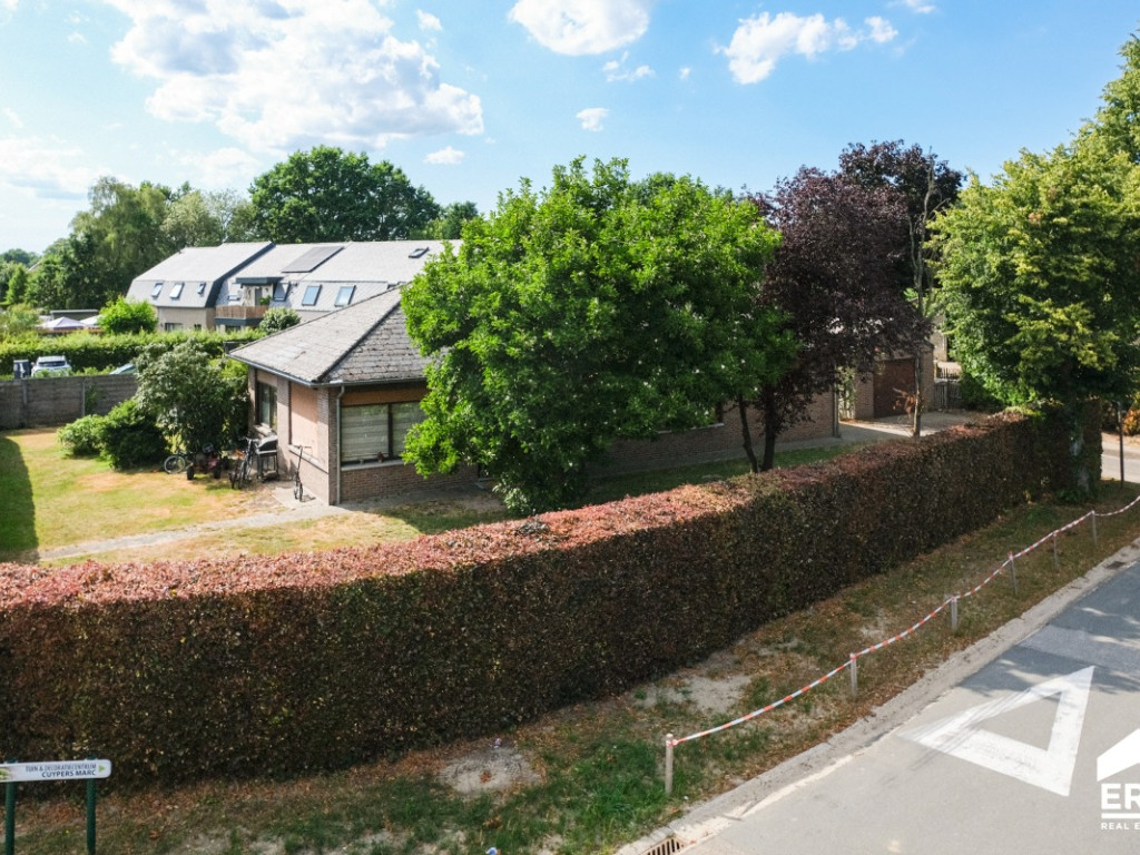 Tichelovenstraat - 98 - - 3990