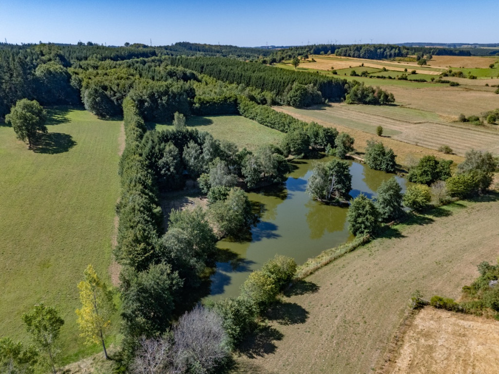 Monaville - 1 - - 6600