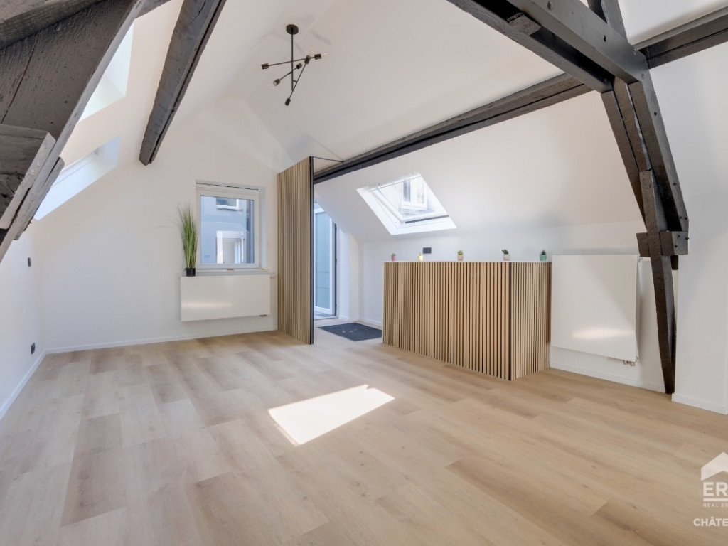 Rue de Bosnie - 109 - 1A - 1060